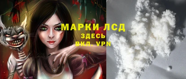 сатива Аркадак