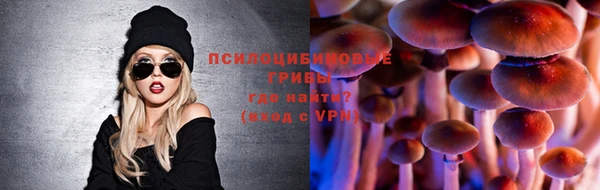сатива Аркадак