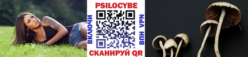 Галлюциногенные грибы GOLDEN TEACHER  Купить  Бабушкин 